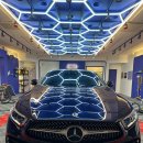 유 카워시 이미지