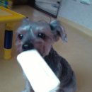 우리단비랑 이미지