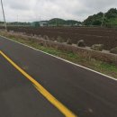 시흥리-4 이미지