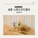 세종사진관 스튜디오드엘리, 세종가족사진 후기