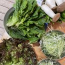 세븐일레븐 의왕호수점 이미지