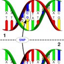서울턱구강내과치과의원 이미지
