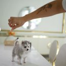 스테이 모량 이미지