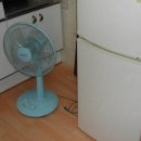 수정-137 이미지