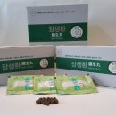 숲속힐링매니아