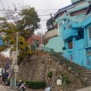 남부민초등학교 이미지