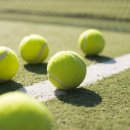 마산종합운동장 실내수영장 이미지