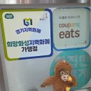양동차이나