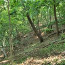 천덕마을회관 | 아산 매곡리산성(牙山 梅谷里山城)