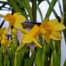 재단법인화천한옥학교 | 화천한옥학교 소목장최명수 삼화공방 전통가구만들기