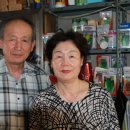 서울농약종묘사 이미지