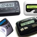 삐삐라떼 이미지