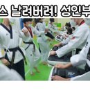 쌍용태권도 이미지