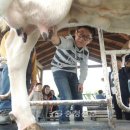 대술초등학교 이미지