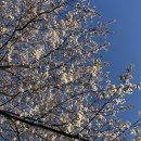 마음애고향 이미지