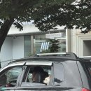 파리바게뜨삼산한화점