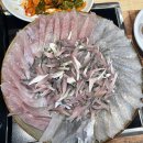 돌섬도매횟집 | 부산 동래 횟집추천 가을전어 맛집 돌섬도매횟집