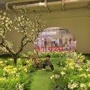 달빛동화마을 | 서울 전시회 3월 아이랑 롯데타워 롯데뮤지엄 타샤 튜더 전시 주말 관람 후기