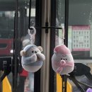 11500-19-52-22 | [강릉 여행] 뚜벅이 여행하면 강릉! 바다도 보고, 소품샵 구경도 하고, 맛집도 가는 여행기