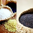 용당어린이집 이미지