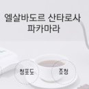 문할로커피 - 고양시 덕양구 동산1로2길 5-12 | 문할로커피