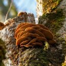 수산과학관 이미지