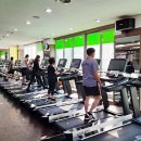 월드피아 헬스 이미지