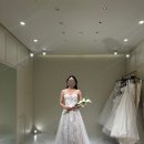 [W-5] 웨딩촬영 드레스 [보헤브부티크] 사전 피팅 후기