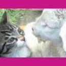 승지목장 이미지