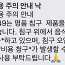 팽나무 민박 이미지