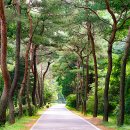 탄금대로 이미지