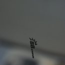 비엔베스트