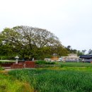 예송한옥 이미지