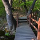 진안고원치유의숲 이미지