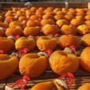 김종선농장 이미지