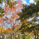 대림동산길 이미지