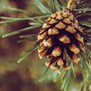 태림한의원 이미지