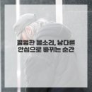 안심기술