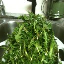 삼겹살에 소주한잔 이미지