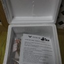 하이펫살롱 | [강아지수제간식] 나도 편하게 먹이고 싶다롱! 하이펫스쿨에서!