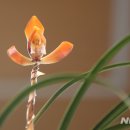 완주군 문화체육센터 체육관 이미지