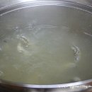 솔치로 Daum카페
