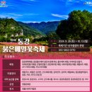산속의친구 | 강원도 영월 나물 한정식 맛집 (산속의 친구들), 동강 붉은 메밀꽃 축제 , 충북 단양 구인사 단풍