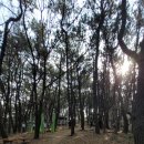 용호1동 체육공원 이미지