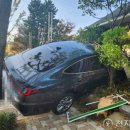 해운대초교 이미지