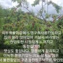 홍성부동산중개사무소 이미지