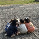 빵댕이넷 네이버블로그