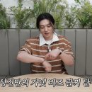 플라비
