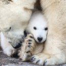 HOLY SPACE 이미지