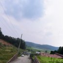 그린부동산컨설팅공인중개사사무소 이미지